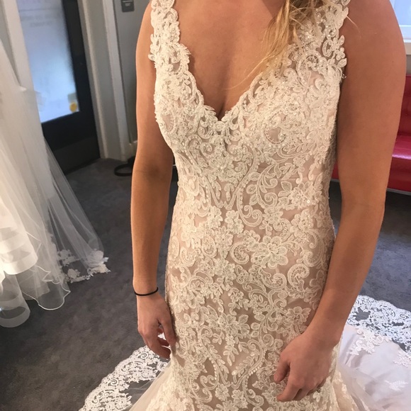 Beautiful wedding dress, champagne underneath with lace and sparkle overlay. - Picture 9 of 12